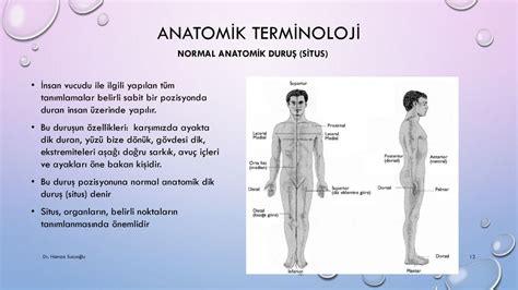 Anatomi Bir Cinayet! İnsan Vücudu Üzerine Karanlık Bir Keşif ve Toplumsal Eleştiri